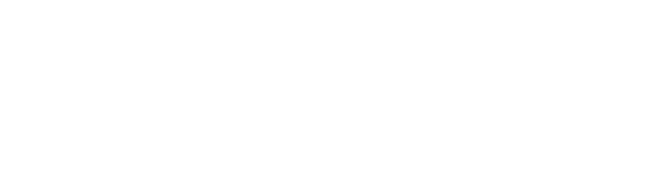 VIRTUAL NURSING ACADEMY™ - Creating a New Standard of Care.